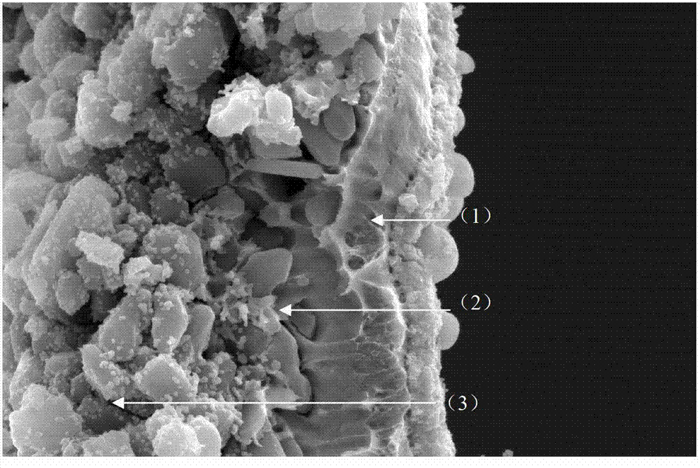 A kind of palladium-based membrane whose surface covers molecular sieve membrane and preparation method thereof