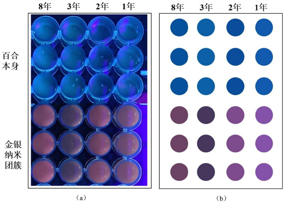 Visual identification method for lily quality