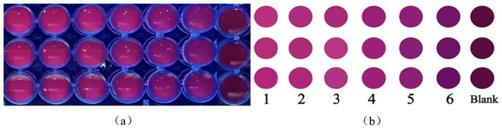 Visual identification method for lily quality