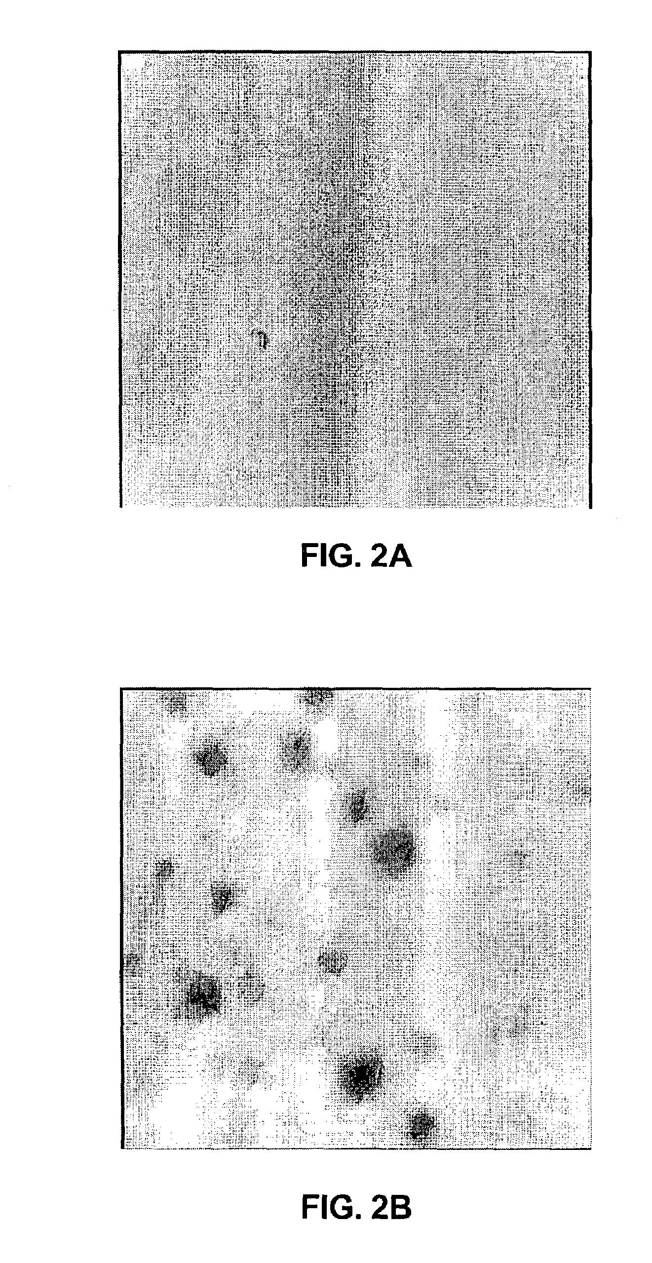 Carbon monoxide sensor and method of use thereof