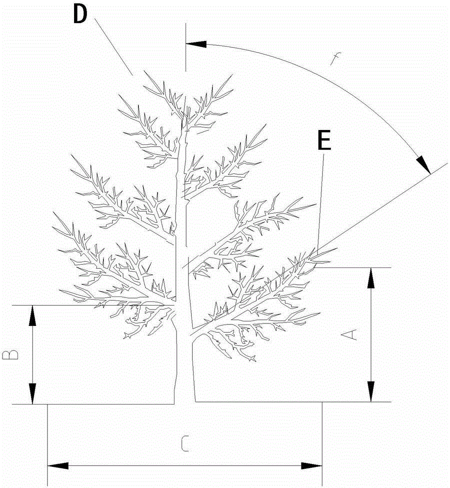 Planting method for achieving continuous high and stable almond yield under intercropping condition
