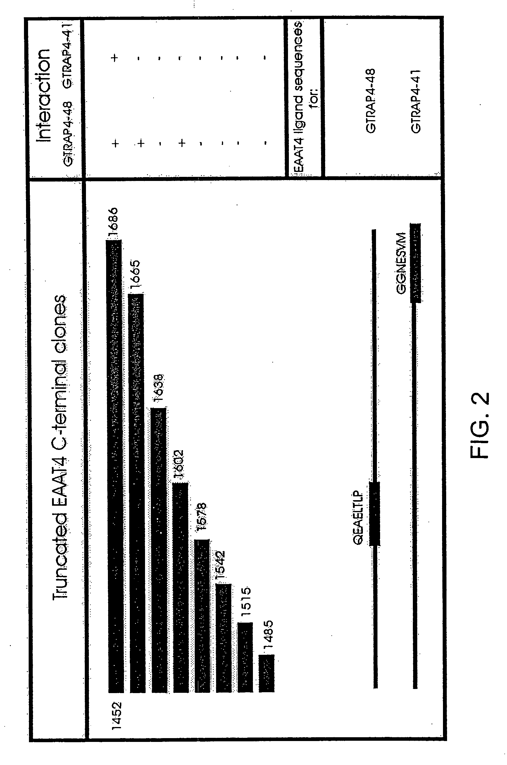 Glutamate transporter associated proteins and methods of use thereof