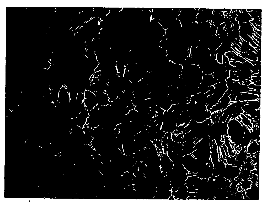 Ethylene polymer particle, production method thereof and molded article using the same