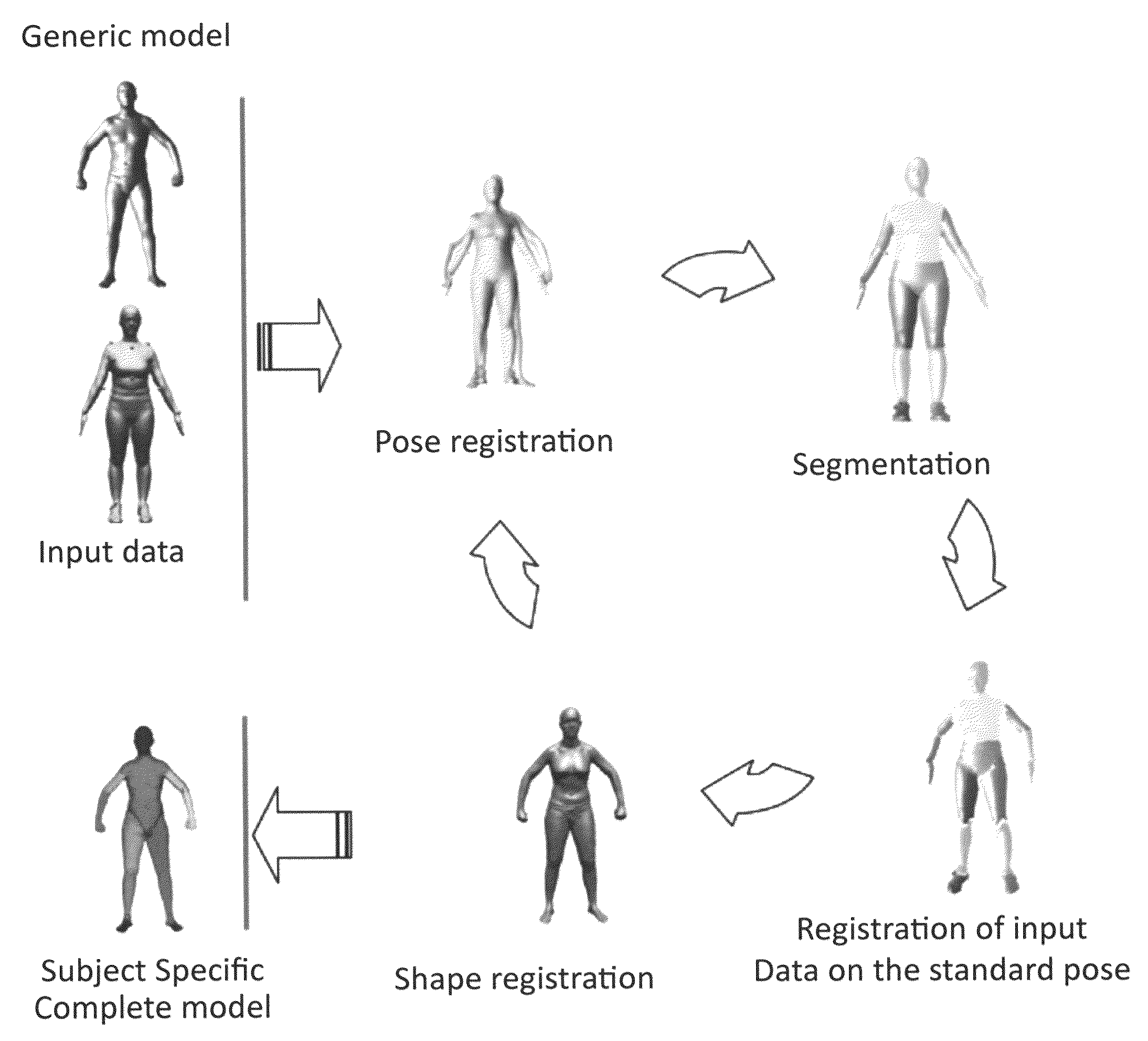 Automatic generation of human models for motion capture, biomechanics and animation