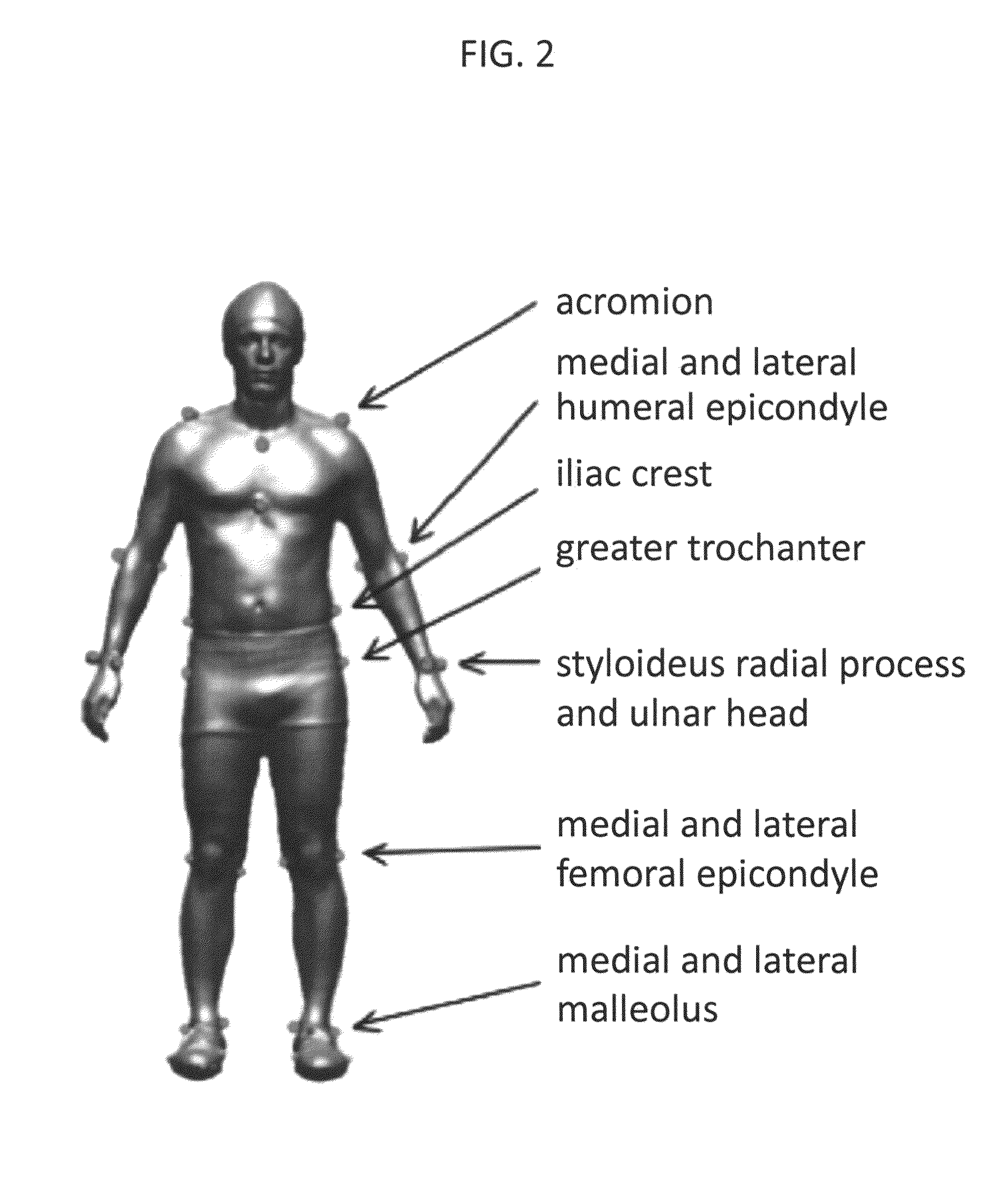 Automatic generation of human models for motion capture, biomechanics and animation