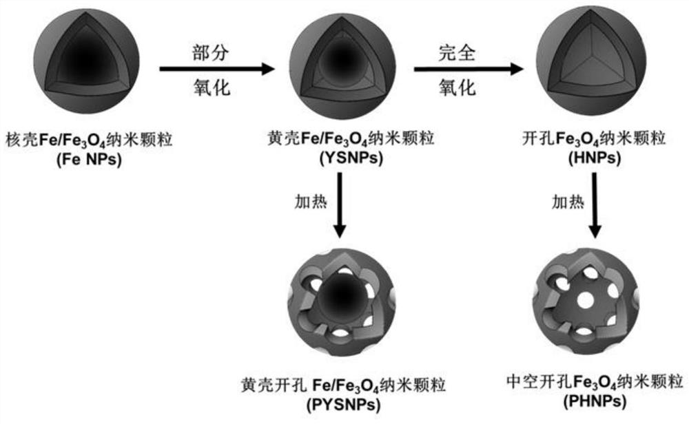 Preparation method and application of zero-valent iron delivery nanoparticles