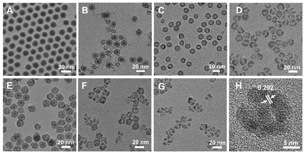 Preparation method and application of zero-valent iron delivery nanoparticles