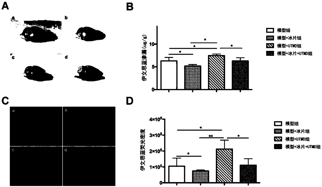 Application of borneol as active ingredient of drug for relieving ultrasound targeted microbubble destruction induced focal cerebral ischemia blood-brain barrier opening