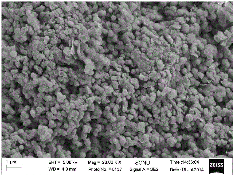 Spherical composite positive pole material for lithium sulfur battery and preparation method and application of spherical composite positive pole material