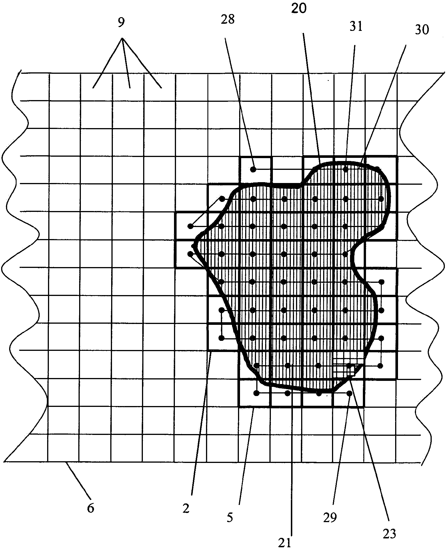 Method and apparatus for irradiating irregularly shaped areas