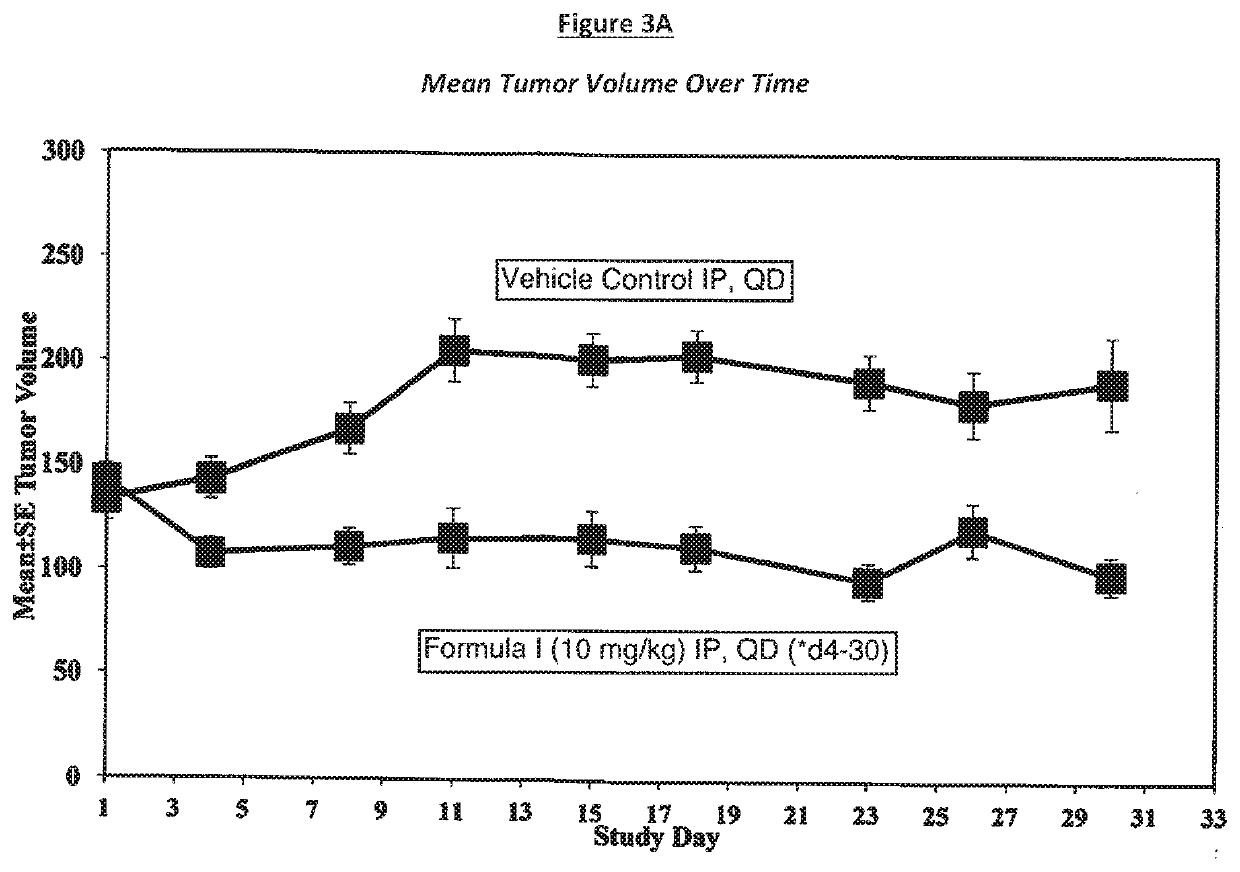 Rapamycin analog for prevention and/or treatment of cancer