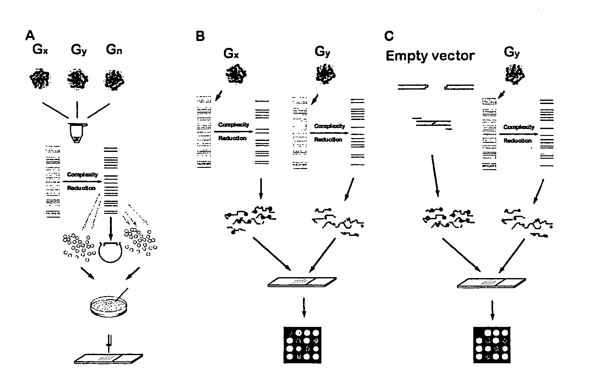Methods for genotyping by hybridization analysis