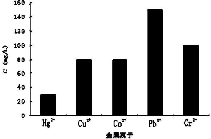 Deinococcus wushiensis and application thereof in cobalt ion biological adsorption treatment