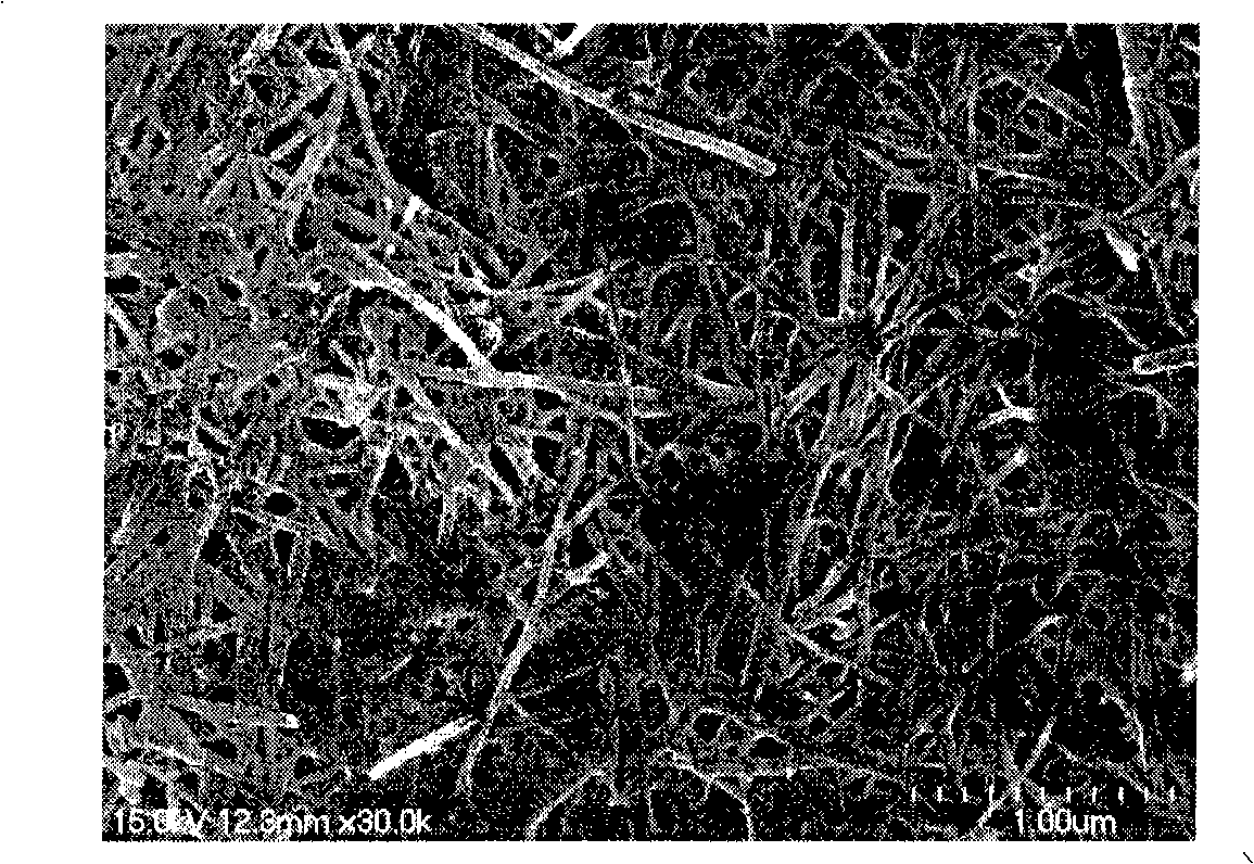 Method for processing nano-function textile