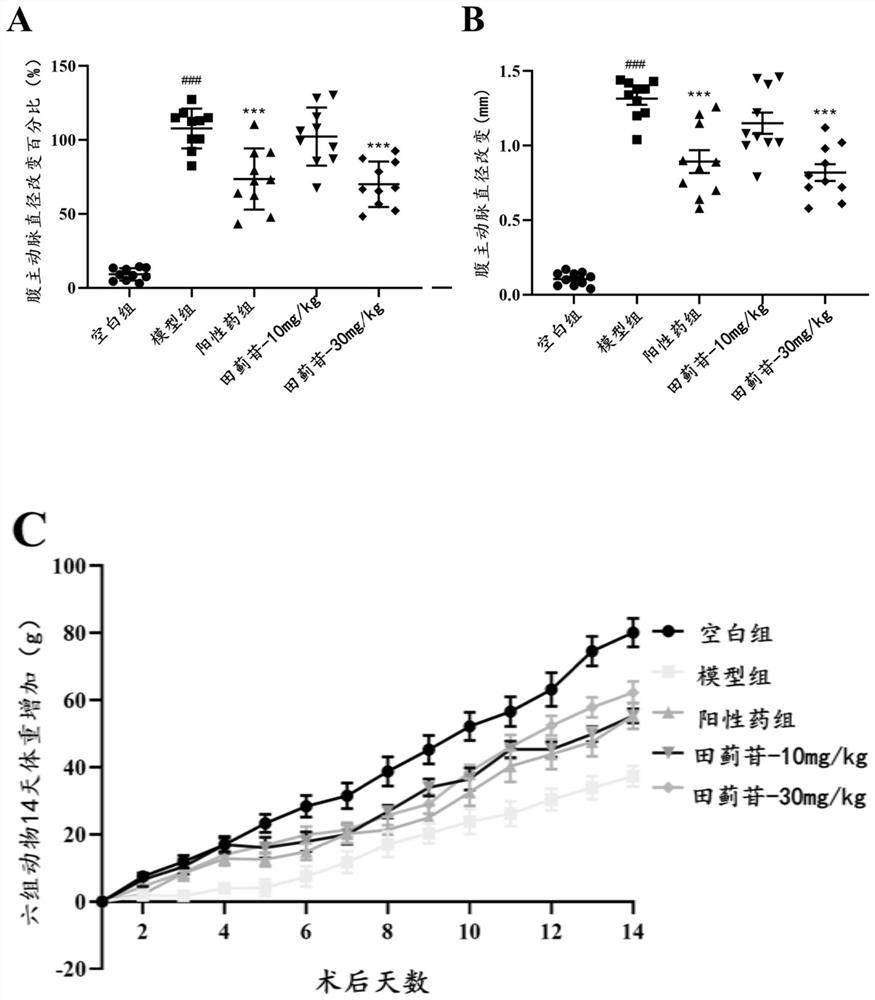 Application of tilianin in preventive protection medicine for abdominal aortic aneurysm