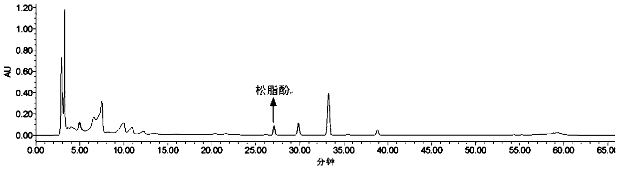 A kind of preparation method of sesame lignan extract