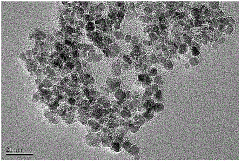 Preparation method of high-biocompatibility dual-target modified Fe3O4 nano material