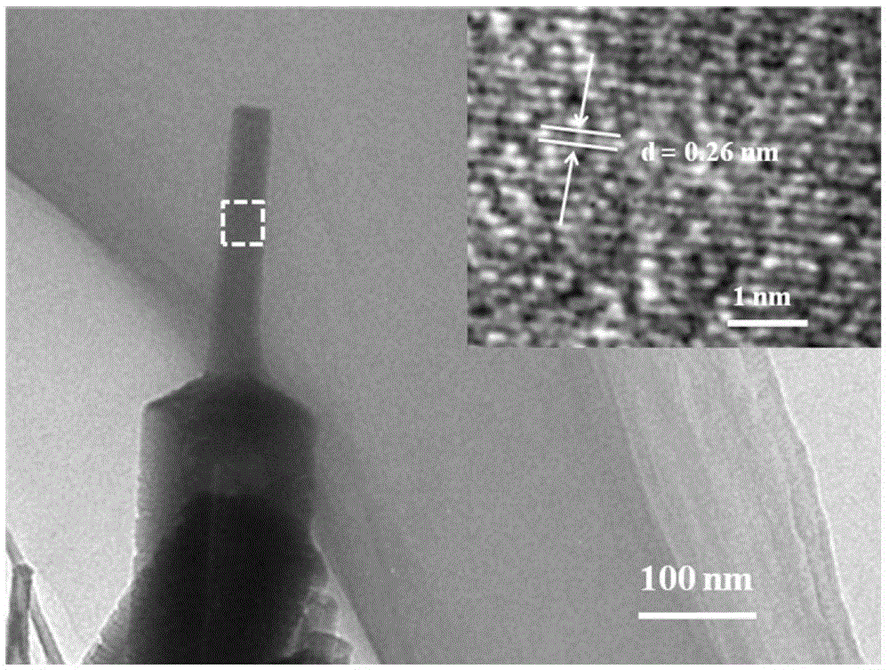 A zinc oxide nano-pencil array electrode and its preparation method and application