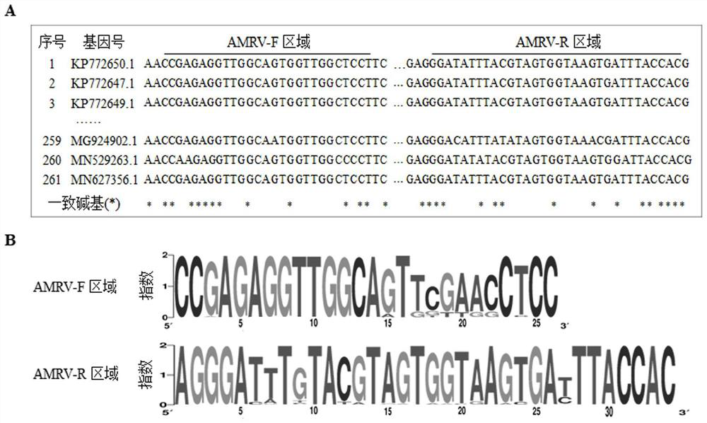 A kind of detection method of apple mosaic disease