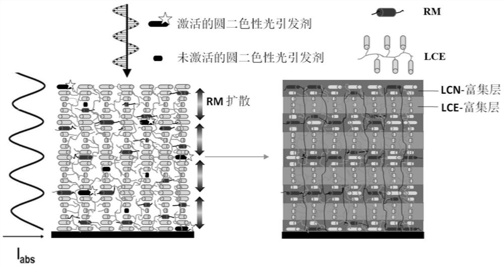 Optical structure and preparation method based on semi-interpenetrating network of cholesteric liquid crystal polymer