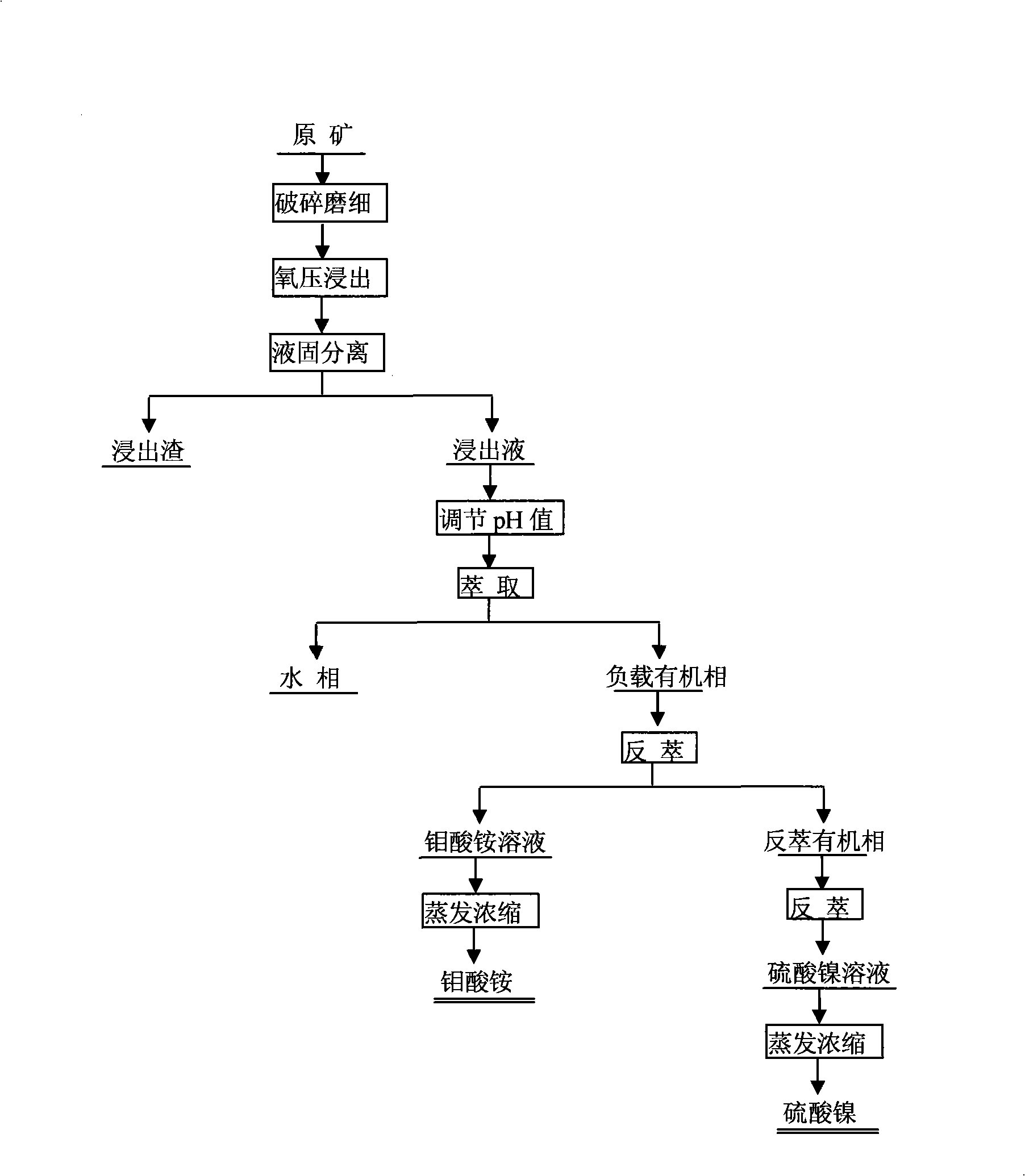 Process for separating molybdenum and nickel form black shale containing molybdenum and nickel