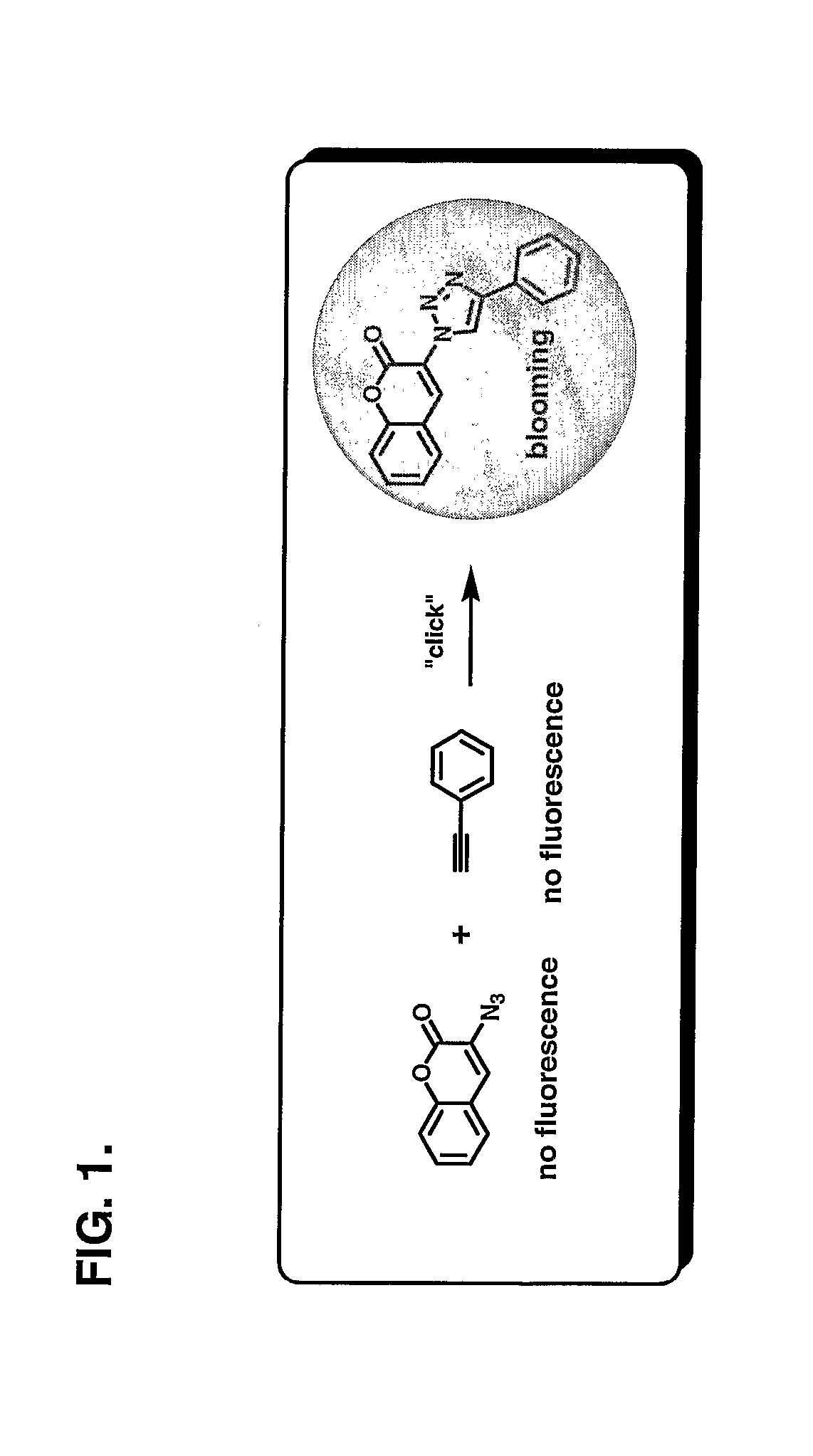 Chemoselective Fluorgenic Molecular Linkers and Methods for Their Preparation and Use