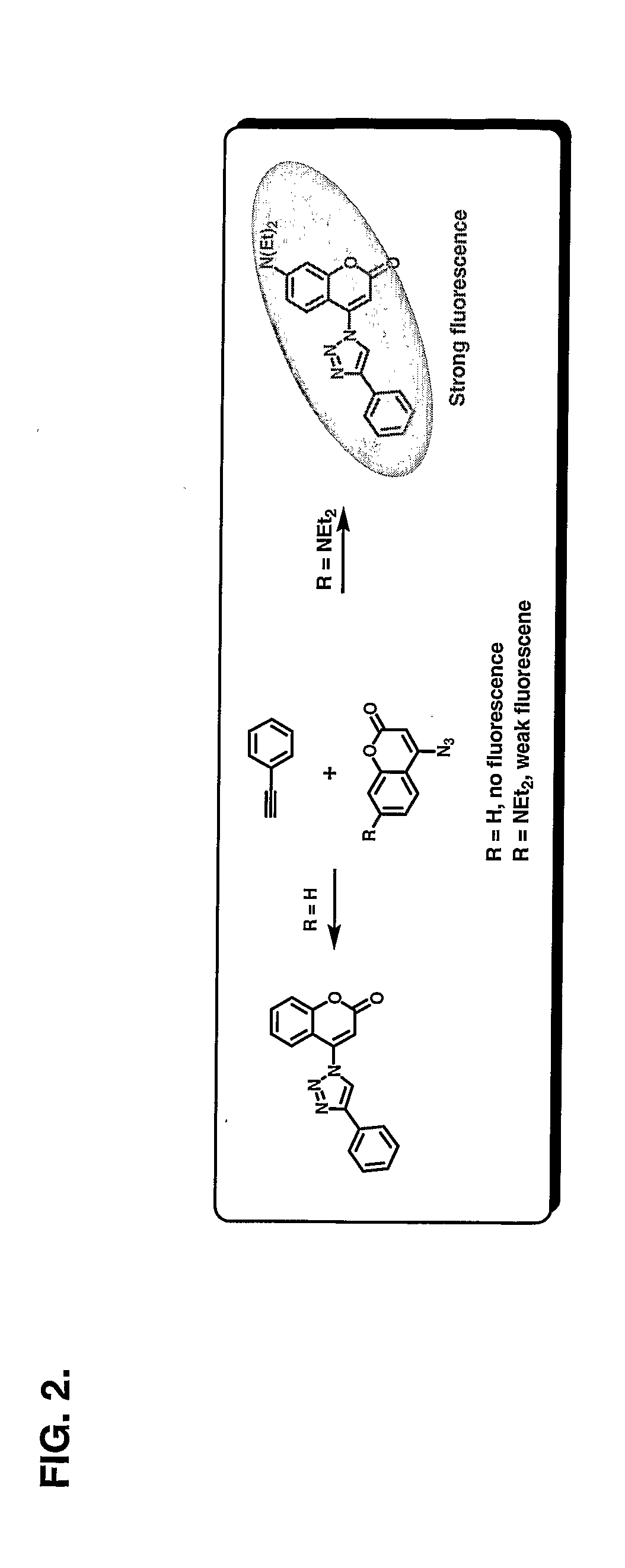 Chemoselective Fluorgenic Molecular Linkers and Methods for Their Preparation and Use