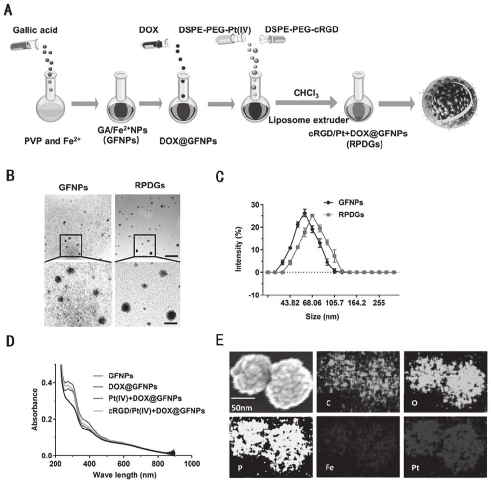 Platinum (ⅳ) and crgd-modified ga/fe nanoparticles loaded with doxorubicin and its method for targeted treatment of tumors