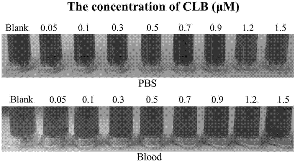 Method for quickly detecting clenbuterol based on functionalized gold nanoparticles