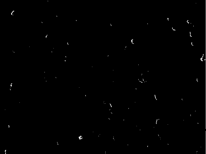 Preparation method of ovalbumin nano particle loaded with EGCG (Epigallocatechin Gallate), and application thereof