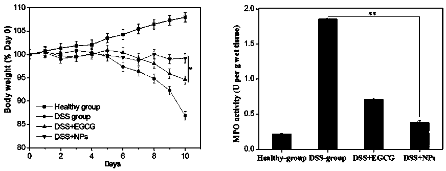 Preparation method of ovalbumin nano particle loaded with EGCG (Epigallocatechin Gallate), and application thereof