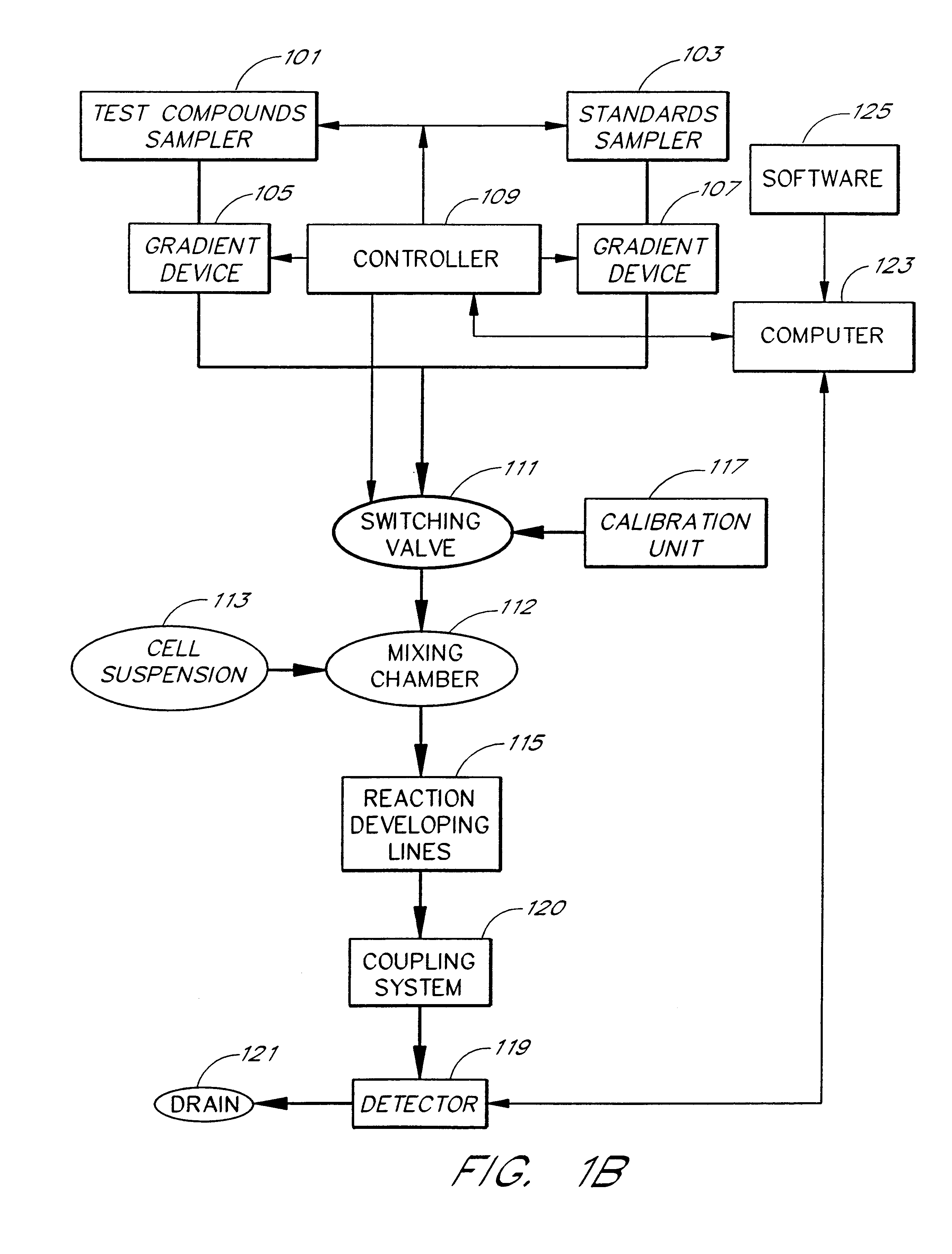 Cell flow apparatus and method for real-time measurements of cellular responses