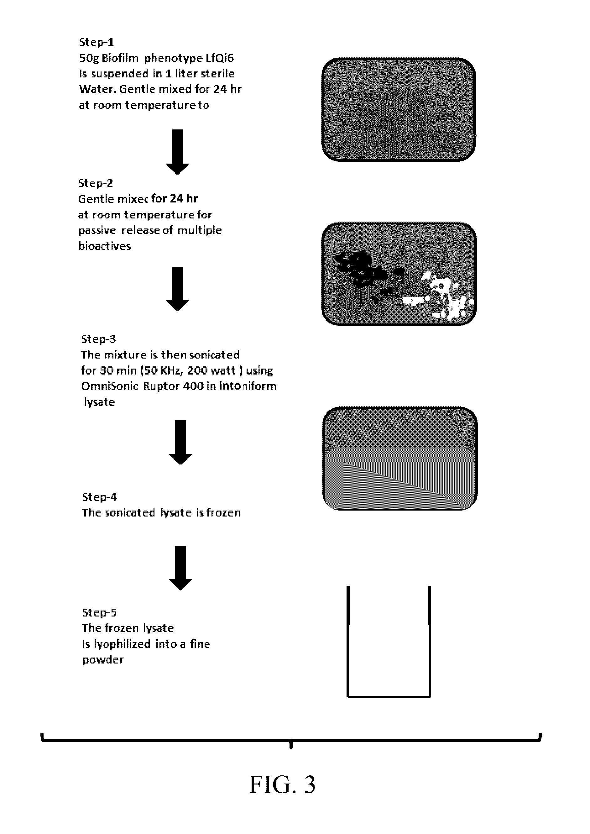 Materials and Methods for Improving Immune Responses and Skin and/or Mucosal Barrier Functions