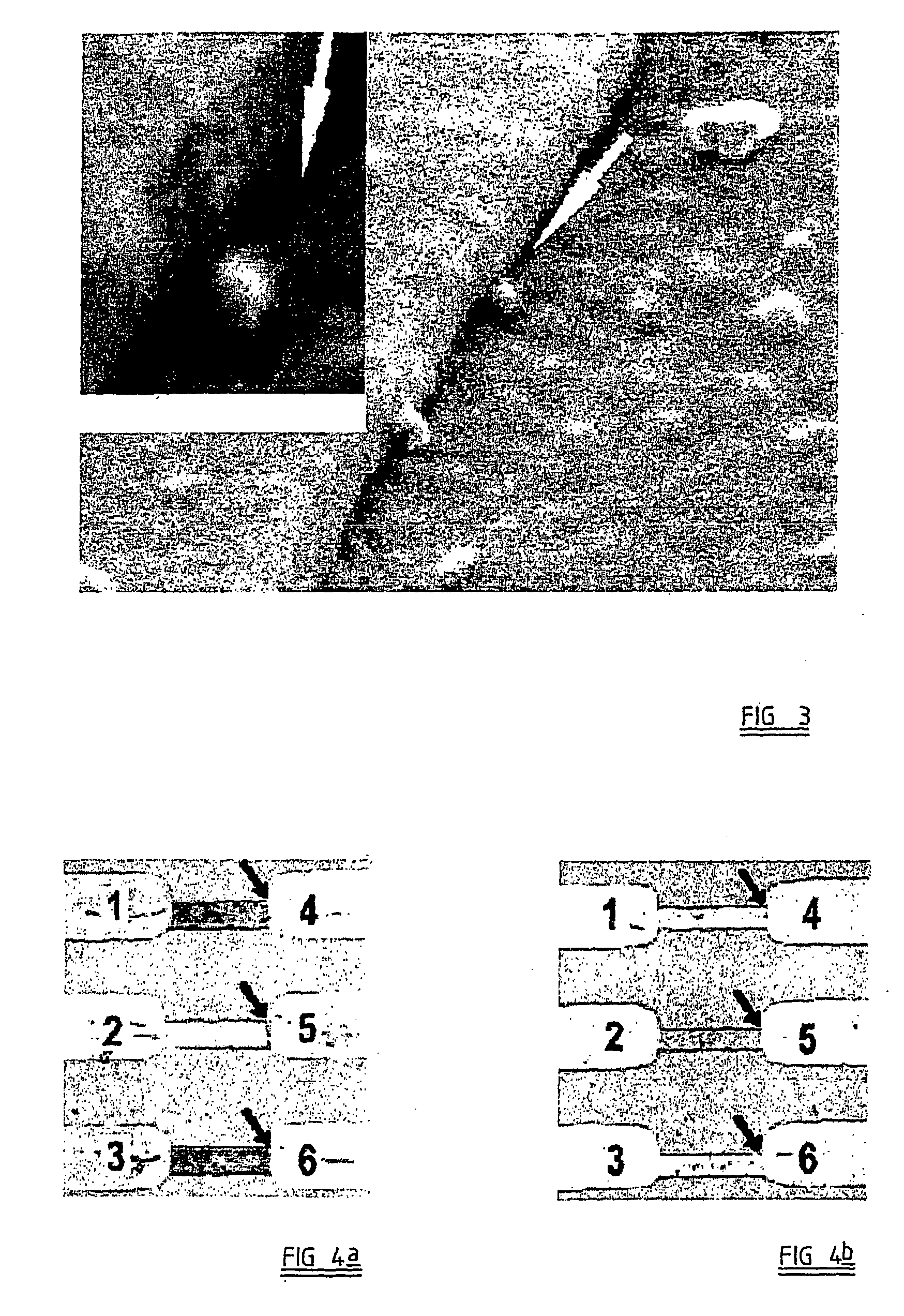 Arrays of electrodes coated with molecules and their production