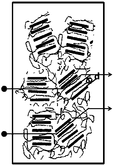 Polyvinylamine composite functional membrane with lamella sieving channel and preparation method and application of polyvinylamine composite functional membran