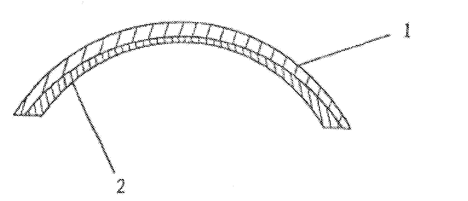 Biological artificial cornea and method of making