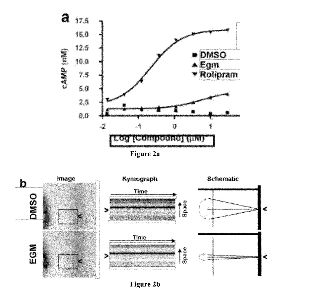 Compounds and Methods for Inhibition of Hedgehog Signaling and Phosphodiesterase