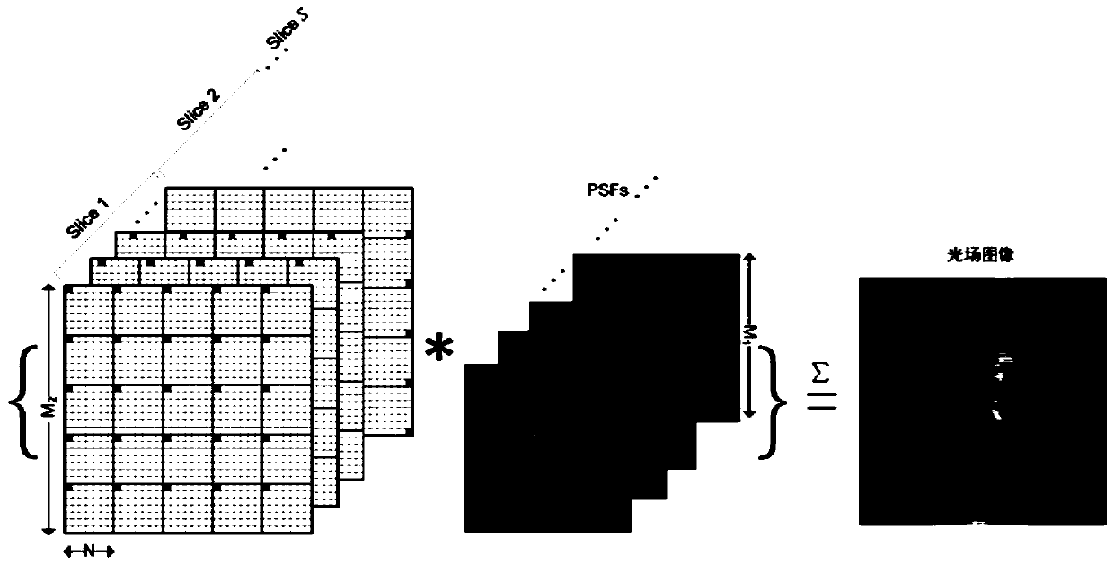 Reconstruction method for microscopic light field body imaging and forward process and back projection acquisition method thereof