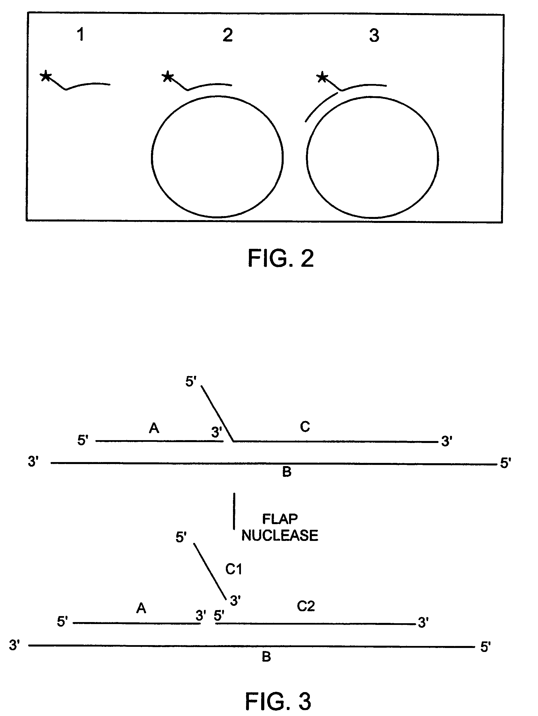 Compositions and methods for the detection of a nucleic acid using a cleavage reaction