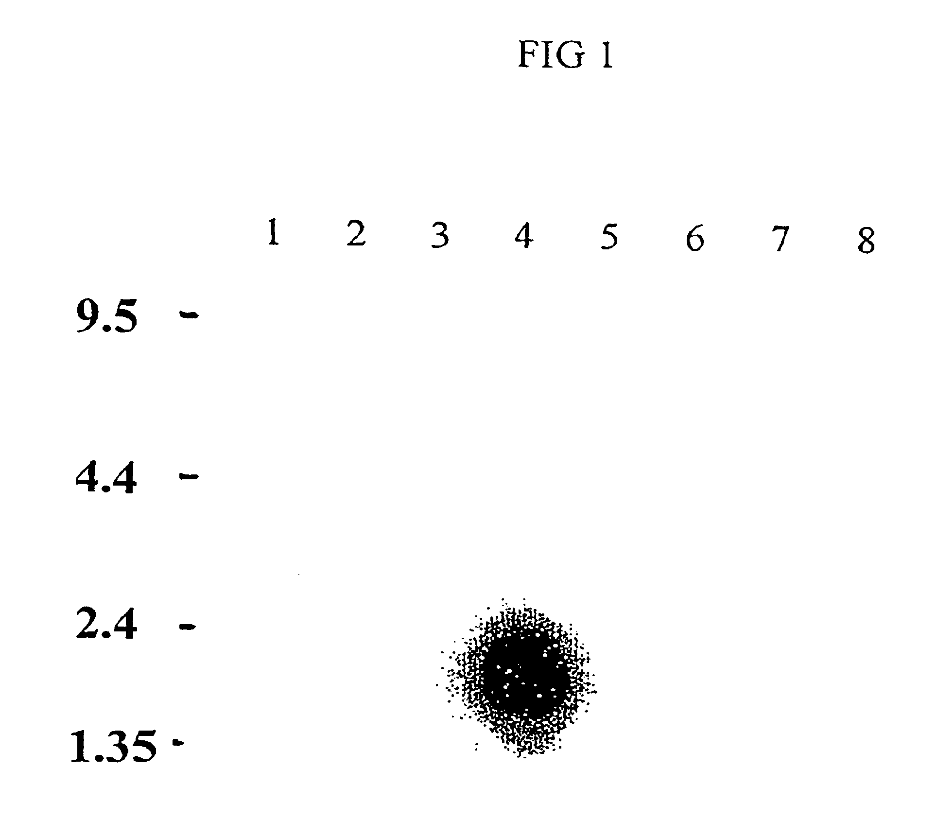 Sperm specific proteins