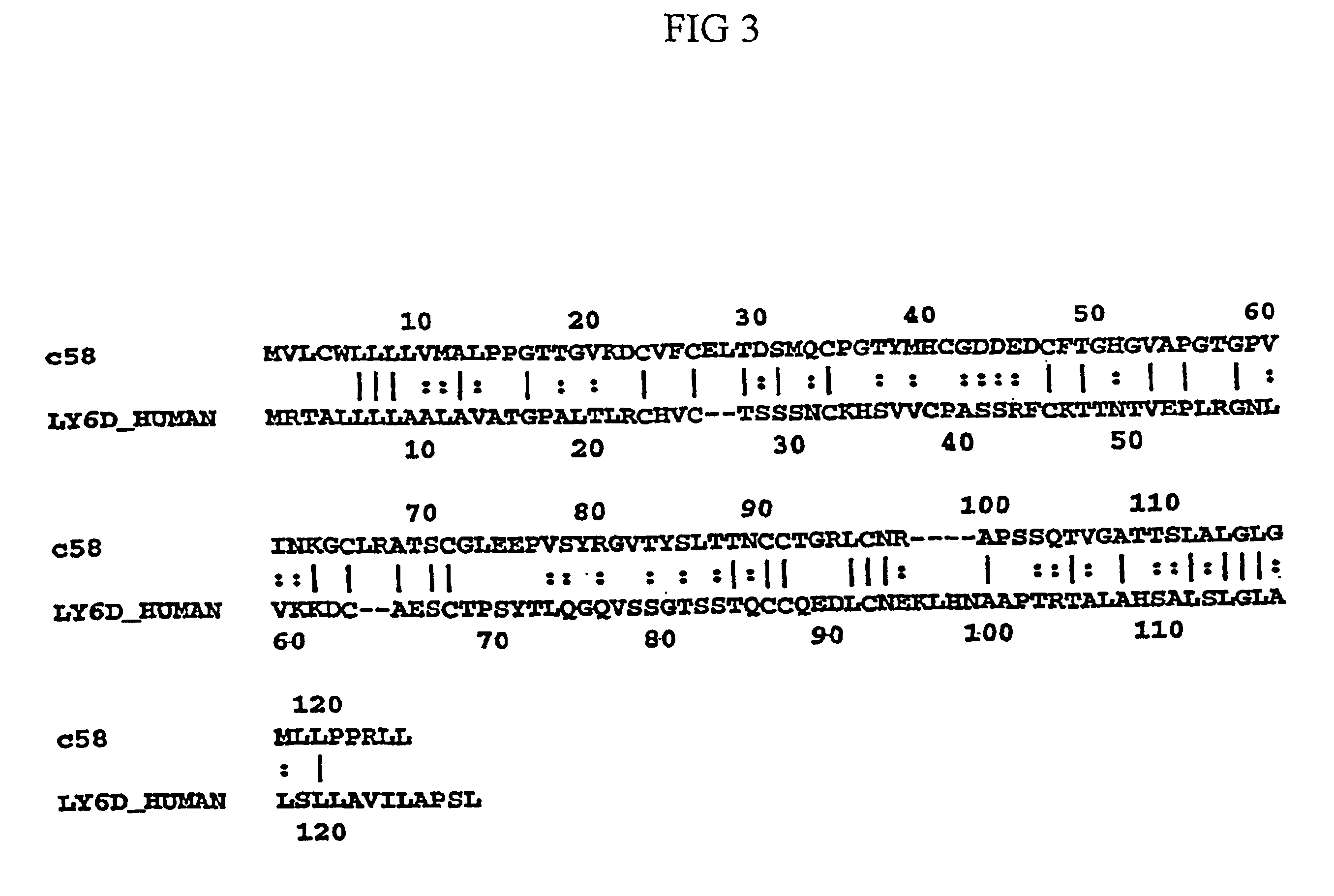 Sperm specific proteins