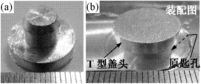 Method for filling friction stir welding keyhole by using T-shaped filling block and bitless stirring head