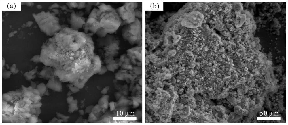 A method for promoting crop growth and reducing insect damage