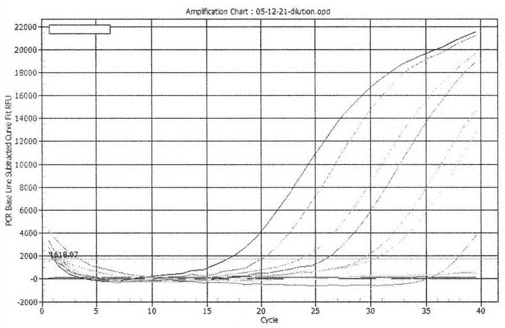 Rapid detection method of real-time PCR for banana bunchy top virus