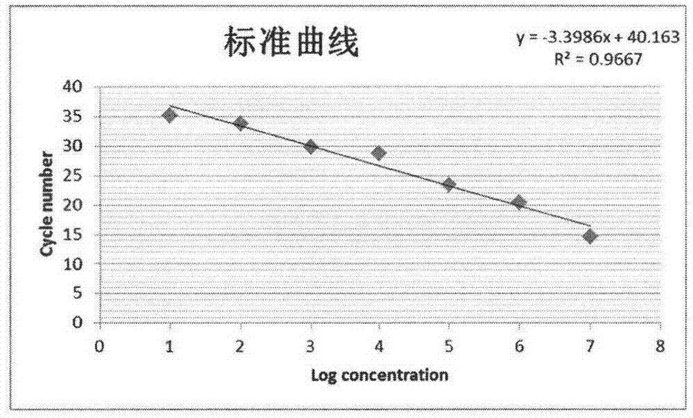 Rapid detection method of real-time PCR for banana bunchy top virus