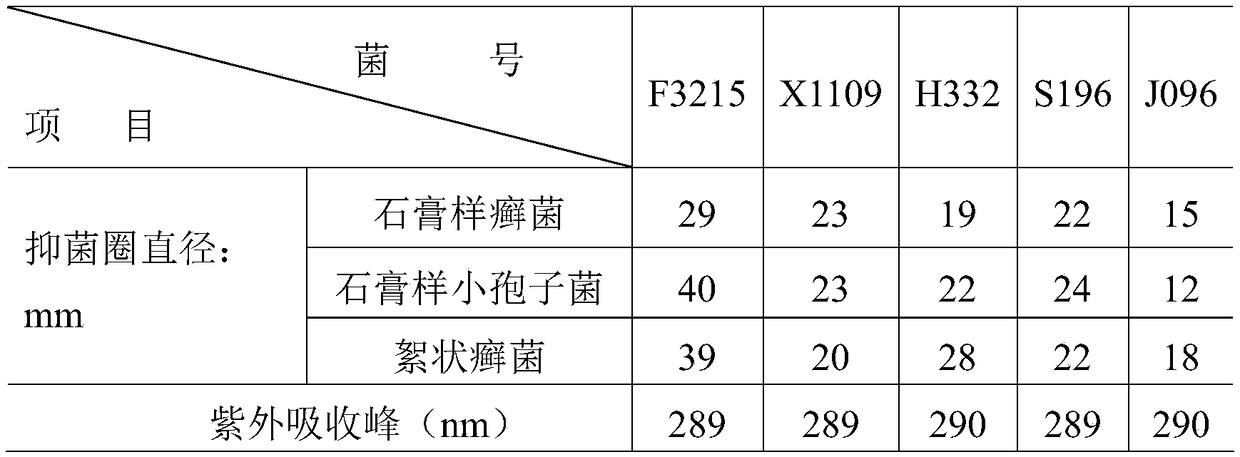 Strain for producing Songgang mycin main component griseofulvin as well as method
