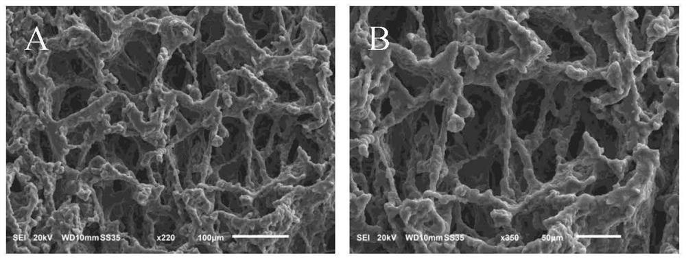 Flexible porous boron affinity copolymer adsorbent as well as preparation method and application thereof