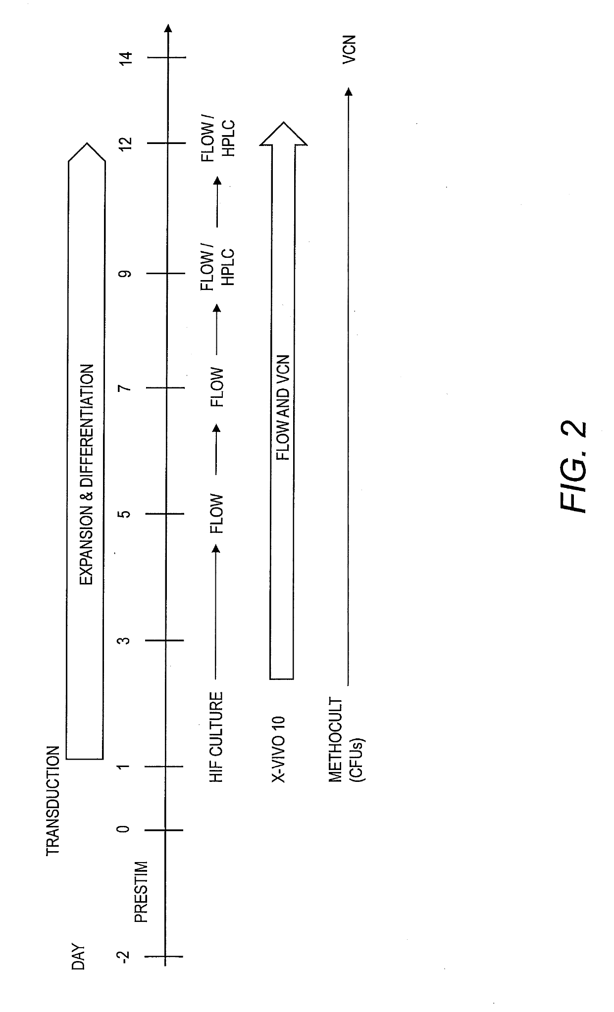 Erythroid-specific promoter and method of use thereof