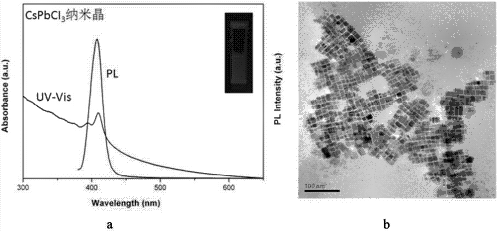 Method for synthesizing totally inorganic CsPbX3 perovskite nano-crystal