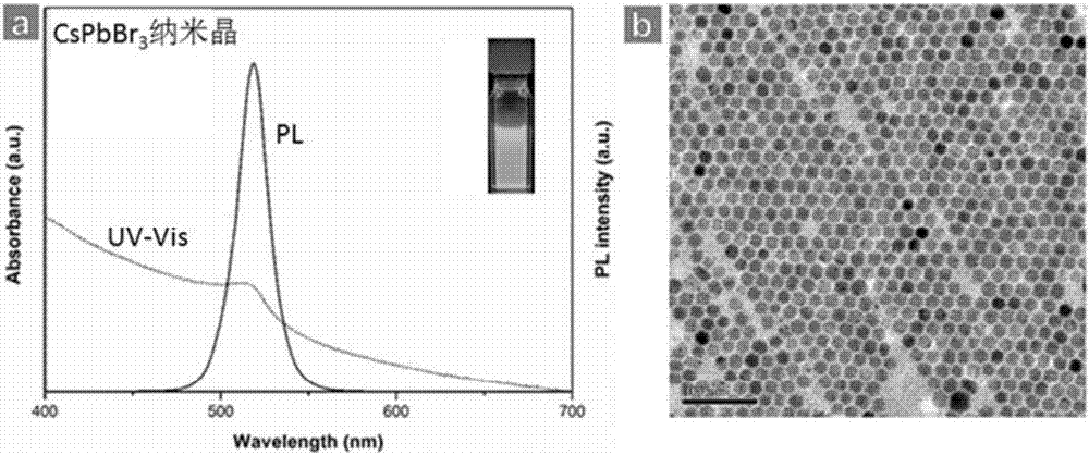 Method for synthesizing totally inorganic CsPbX3 perovskite nano-crystal